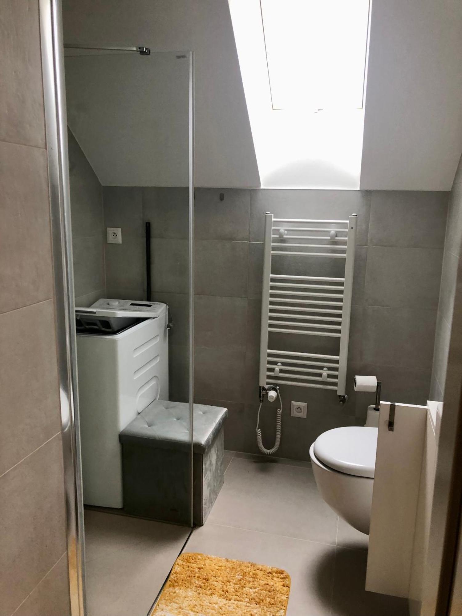 Apartman Krusne Hory - Erzgebirge Horni Blatna Bagian luar foto