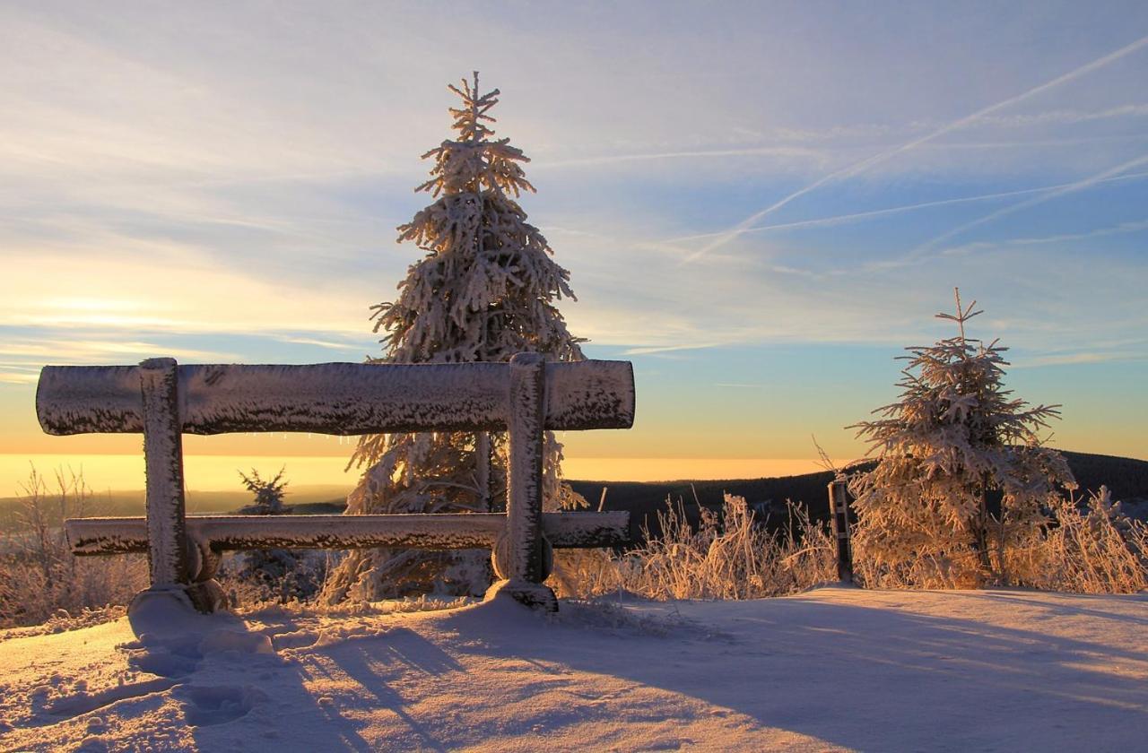 Apartman Krusne Hory - Erzgebirge Horni Blatna Bagian luar foto