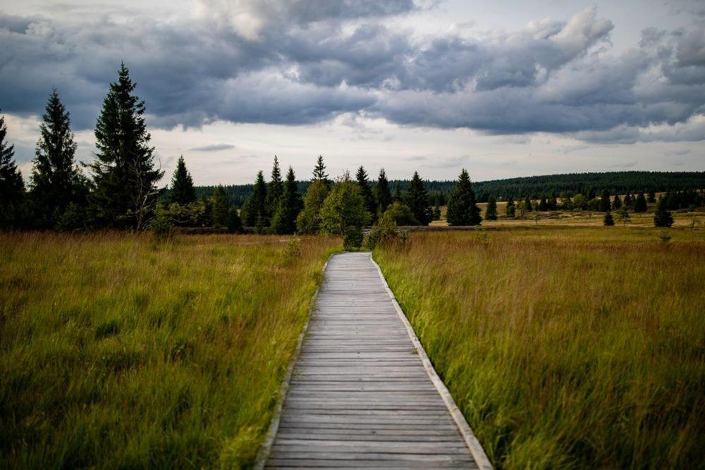 Apartman Krusne Hory - Erzgebirge Horni Blatna Bagian luar foto