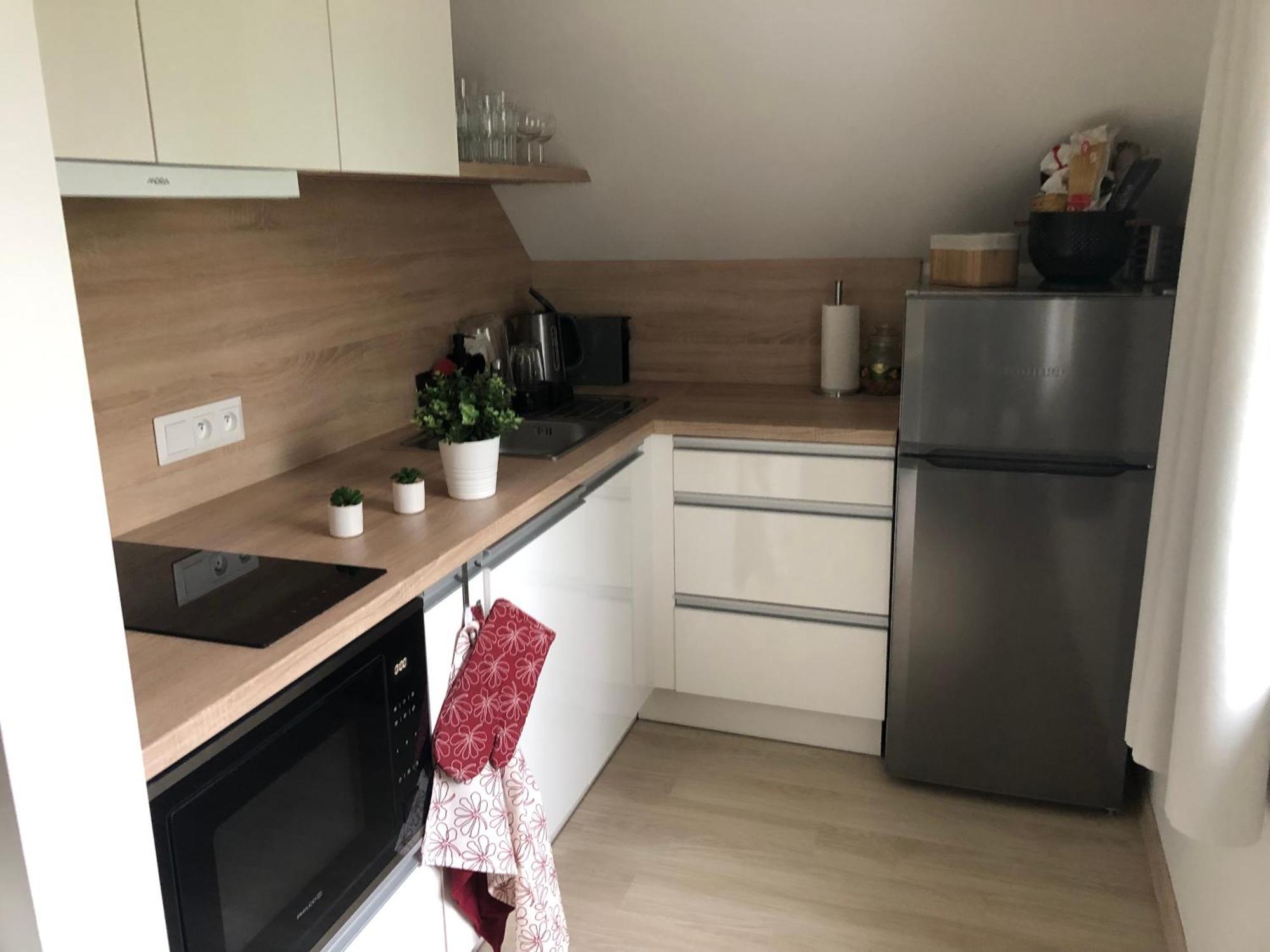 Apartman Krusne Hory - Erzgebirge Horni Blatna Bagian luar foto
